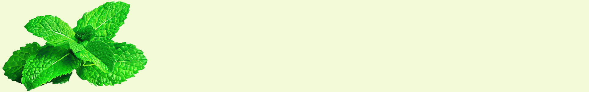 breese-organics-breese-essential-oils-orange-nsw-peppermint-essential-oil-blank-background-header