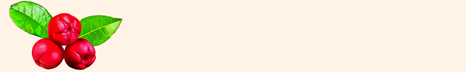 breese-organics-breese-essential-oils-orange-nsw-wintergreen-essential-oil-blank-header