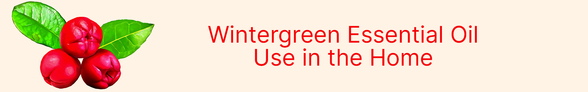 breese-organics-breese-essential-oils-orange-nsw-wintergreen-essential-oil-home-uses-header